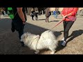 civita di bagnoregio italy italy s dying city walking tours tips 4k gopro10