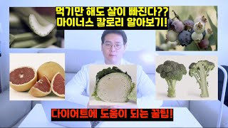 (다이어트 팁) 먹으면 살이 빠지는 음식이있다? 마이너스 칼로리 음식에 대해서 알아봅시다.