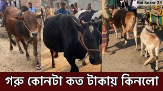 গরুর হাট ২৩-১২-২০২৪ কলাদিয়া বাজার | Cow price 2024 | Hat Bazar 24