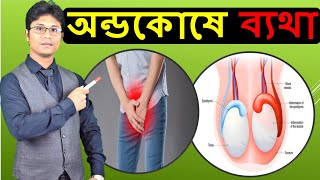 অন্ডকোষে ব্যথা বা অন্ডকোষের রোগ | Testicular pain or testicular disease Bangla | Dr Shamim Hosen