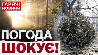 ПОГОДА В НОВИЙ РІК ВРАЖАЄ! Такого не було давно!