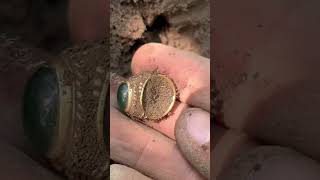 Friend found a gold ring #metaldetecting #shorts