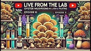 Episode 7: Oyster Mushrooms Innoculation \u0026 Fruiting - LIVE from the Lab at Gardin