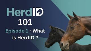 HerdID 101 - What Is HerdID?