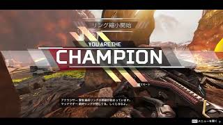 マギー1マッチキルクリップ【APEX】