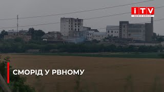 Сморід у Рівному - знайшли причини, але нікого не покарали