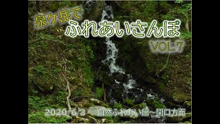 【自宅学習支援】Vol 21 泉ケ岳でふれあいさんぽ Vol 7