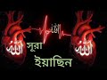 সুরা ইয়াসিন Surah Yaseen