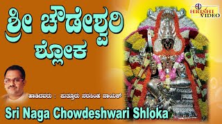 ಶ್ರೀ ಚೌಡೇಶ್ವರಿ ದೇವಿ ಶ್ಲೋಕ | Sri Chowdeshwari Devi Shloka | Narasimha Nayak | Devi Shloka