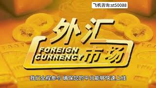 🈺外汇平台一站式搭建 ✅正版/破解MT4/MT5 搭建运维 ✅现成主标转让接手建