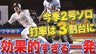 【効果的な1点】若月健矢『ヤバすぎる今季2号ソロで打率3割台！』