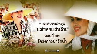 ตอนที่ 12 โครงการป่ารักน้ำ