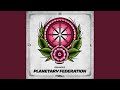 Planetary Federation