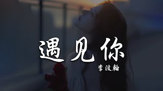 李汶翰 Li Wenhan - 遇见你【動態歌詞 Pinyin Lyrics】『多年以後回首 那場邂逅，人生的路口 風馳雲走，時光卻讓萬物變溫柔』