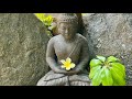 Buddha's Flute | Serenity of Flute