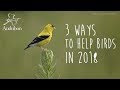 3 Ways to Help Birds | National Audubon Society