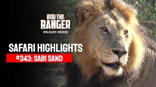 Safari Highlights #343: 13 - 16 May 2015 | Sabi Sand Nature Reserve | Latest #Wildlife Sightings