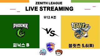 [제니스리그] 피닉스B vs 블릿츠5,6(B) | 2024 . 12. 19