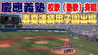 【高校野球】慶應義塾　校歌（塾歌）斉唱　春夏連続甲子園出場を決め大合唱！【神奈川大会決勝　慶應義塾 vs 横浜高校 】2023.7.26