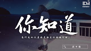 劉力揚 - 你知道「為何我的天真總是換來你錙銖計較。」♫動態歌詞lyrics/pīn yīn gē cí ♫