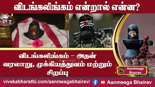 விடங்கலிங்கம் – அதன் வரலாறு, முக்கியத்துவம் மற்றும் சிறப்பு Aanmeega Bhairav