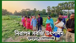 বিষমুক্ত নিরাপদ সবজি উৎপাদন।