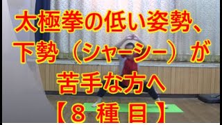 24式太極拳の低い姿勢、下勢（シャーシー）が劇的に変わる【８ 種 目 】腰痛予防。股関節痛予防にも！一緒にやりましょう！気持ちいい！元気になる！エネルギーが湧く！