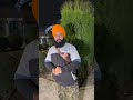 ਇਹ ਦੇਖੋ ਇਥੇ ਕੀ ਹੋ ਰਿਹਾ ਹੈ