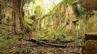 HUGE FARMHOUSE RUINS ON THE QUANTOCK HILLS + A CREEPY ABANDONED CHAPEL