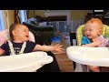 እጅግ በጣም አስቂኝ የህፃናት አዝናኝ ቪዲዮች very funny babies vine video compilation