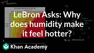 LeBron Asks: Why does humidity make it feel hotter?