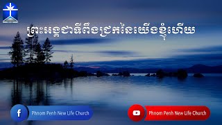 ព្រះអង្គជាទីពឹងជ្រកនៃយើងខ្ញុំហើយ