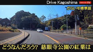 鹿児島ドライブ　ふれあいスポーツランド　慈眼寺公園　ドライブVlog　鹿児島の道路 おまかせテレビ Omakase TV