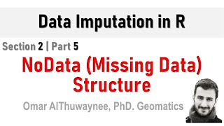 NoData (missing data) Structure | Data Imputation in R part 2.5