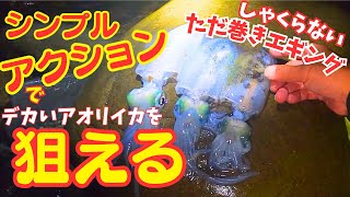 エギング編：和歌山ゴロタ浜 しゃくらないただ巻きエギング！デカい奴にも効果的！と伝えたいが...