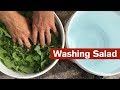 A Simple Setup for Washing Salad