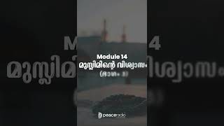 നിങ്ങളുടെ വിശ്വാസജീവിതത്തിന് അറിവിന്റെ പ്രകാശവുമായി, LIFE | Peace Radio