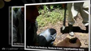 Honduras, Cusuco National Park, JungleXpedition Tours