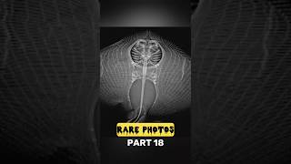 Insane rare photos that will blow your mind away #shorts #rarephotos #rare