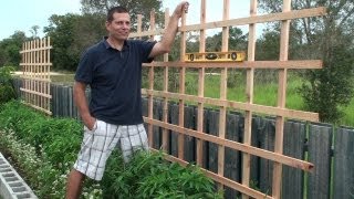 Building a Trellis for our raised bed