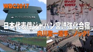 WBC2017日本代表侍ジャパン宮崎強化合宿 内川聖一選手、ノック！