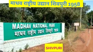 Madhav National Park Shivpuri | Jungle Safari | Leopard Sanctuary| Tiger Reserve । माधव नेशनल पार्क