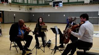 Harlem Chamber Players (Wade in the Water) - NYISE Performance