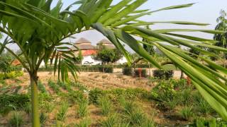 Banalata Resort, Joypur Forest, Bankura