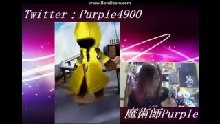 【白猫プロジェクト】限定ガチャ引きまくってやんよっ！【魔術師Purple】