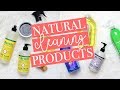 WHY I SWITCHED TO NATURAL CLEANING PRODUCTS + My Favorite Non-Toxic Products!