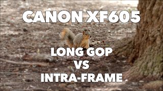 Long GOP vs Intra-Frame | Canon XF605