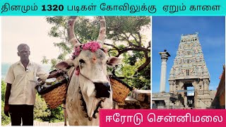 வேறு எங்கும் பார்க்க முடியாத அதிசயம்! ஈரோடு சென்னிமலை முருகன் கோவில் | PudhumaiSei | Tamil Vlogs