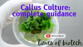 Callus Culture: Procedure, Principle, characteristics, and application of callus -TIMES OF BIOTECH