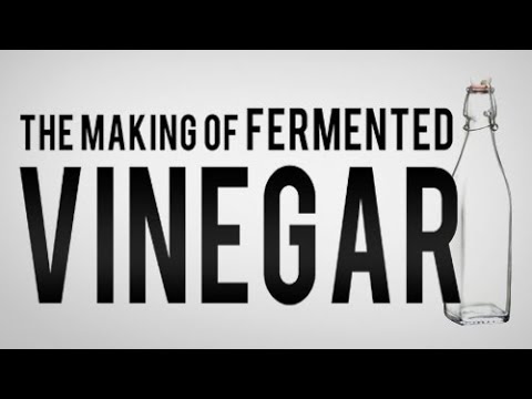 How to Make Vinegar from Coconut Water How to Make Vinegar from Coconut Water